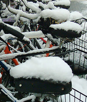 Kalter Hintern .oka 2005